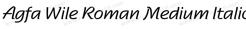 Agfa Wile Roman Medium ltalic字体转换